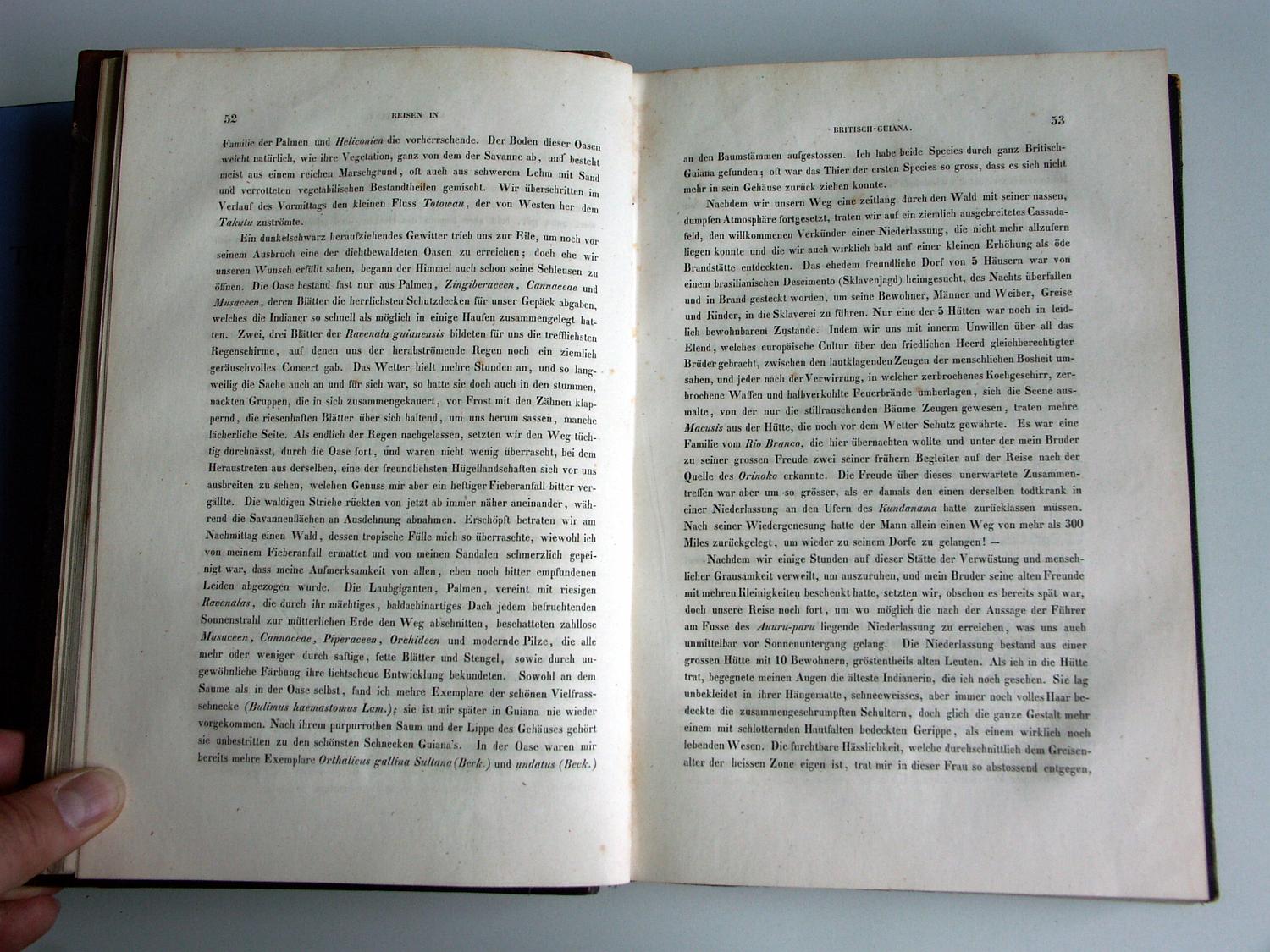 ZZ-RISC48,S.052 MAcushi vom Rio Branco